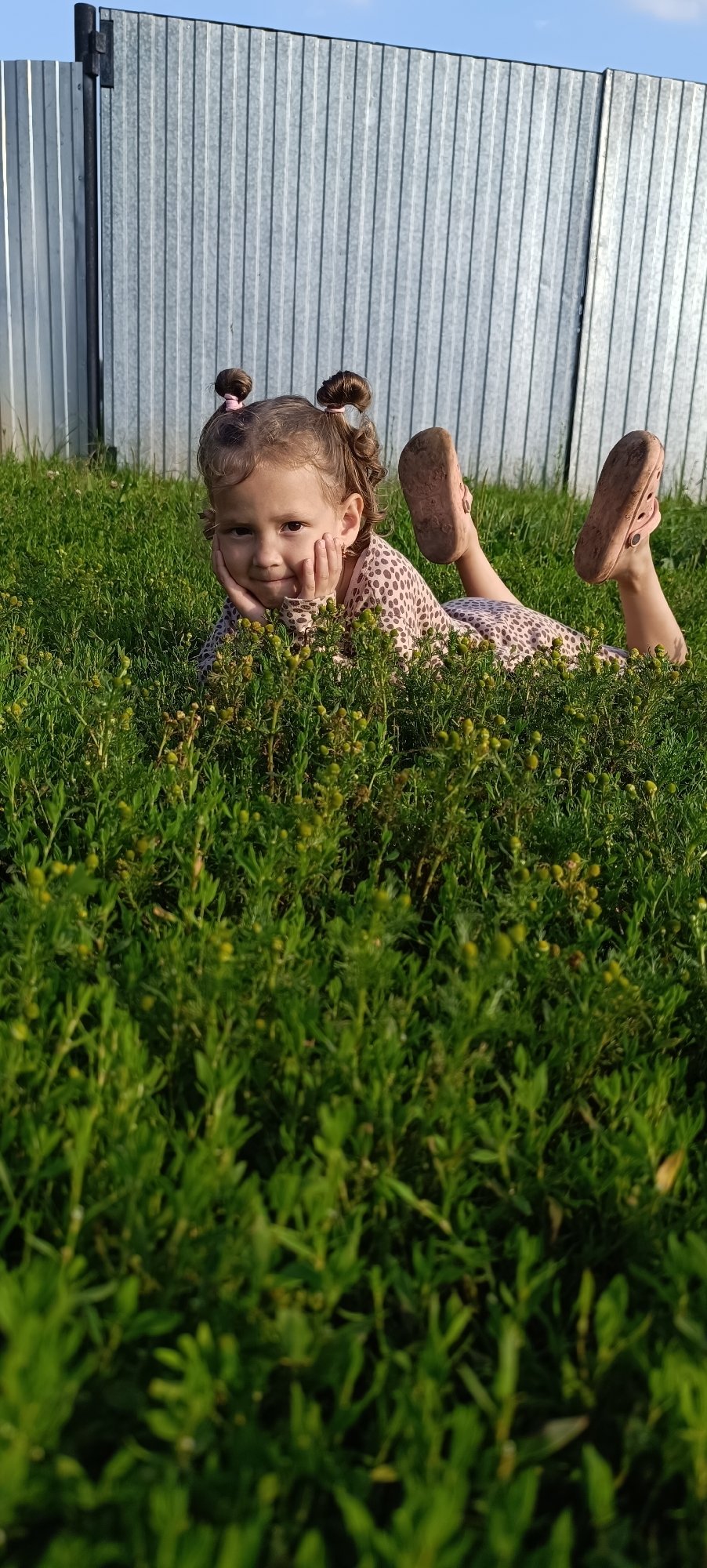 Summer afternoon in a Russian village: fields, cows, and kids