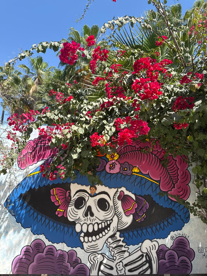 Catrina mural spotted on San José del Cabo street