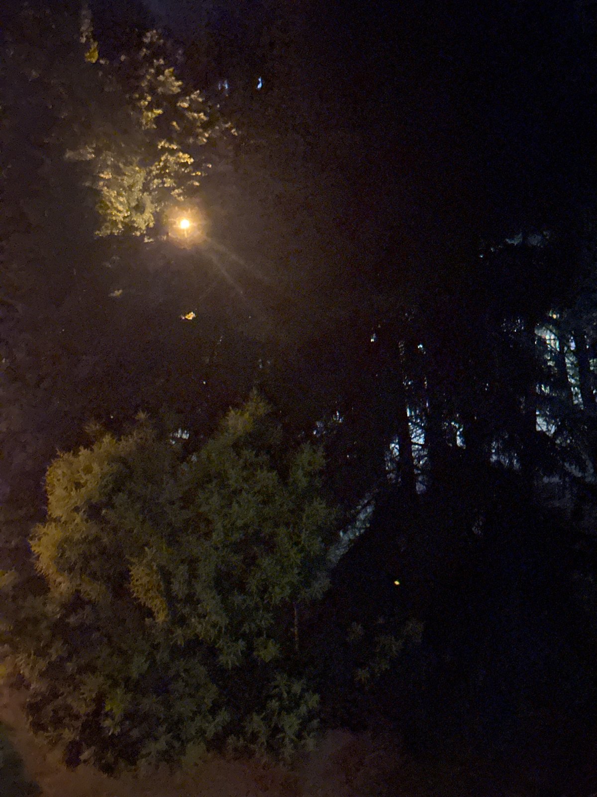 Night scenes around an apartment complex, plus a sleeping cat