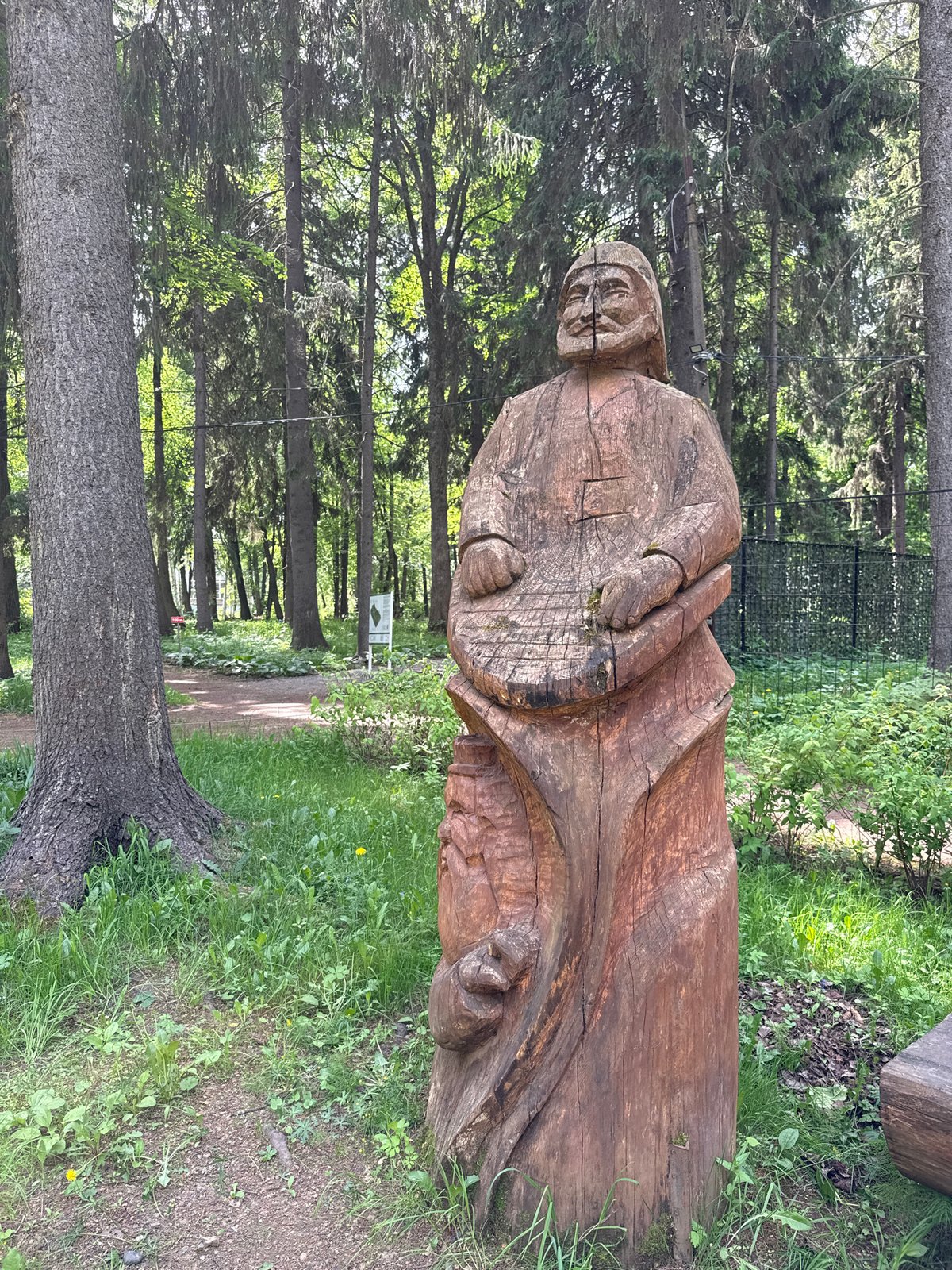 Morning documentation of sculptures and wildlife in Izhevsk parks