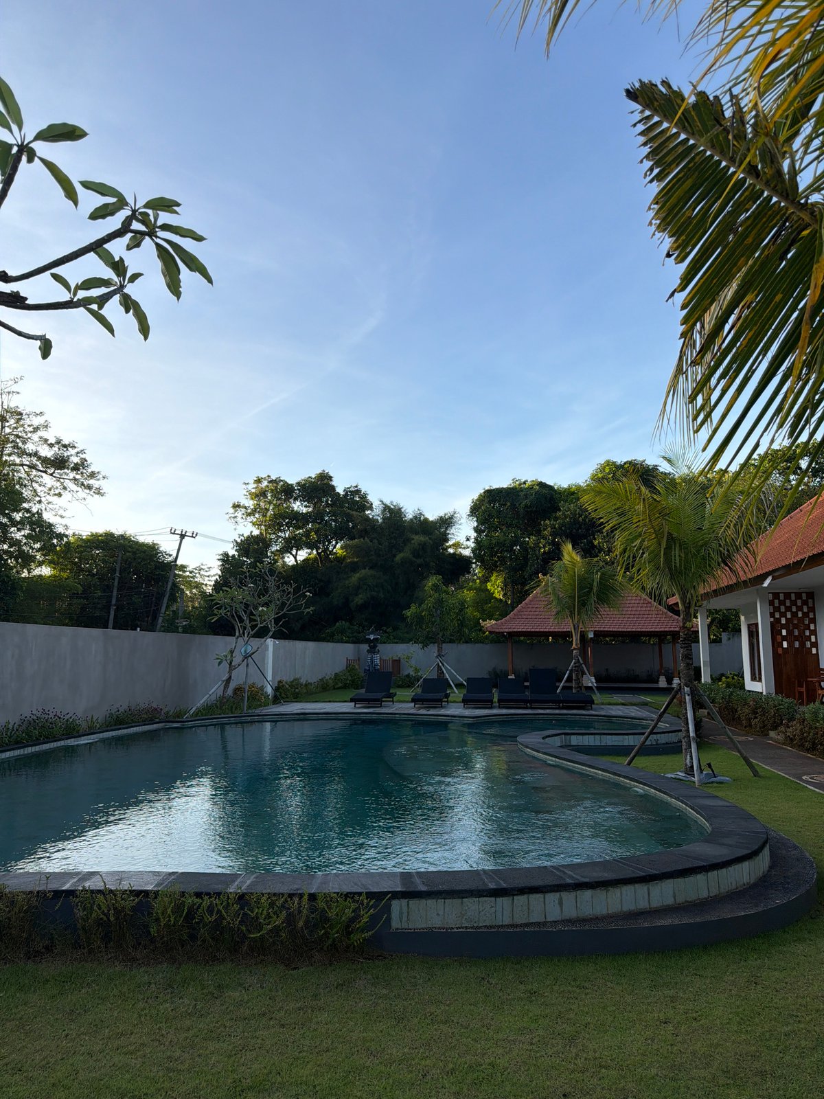Citrus harvesting captured in Kuta Selatan residential garden
