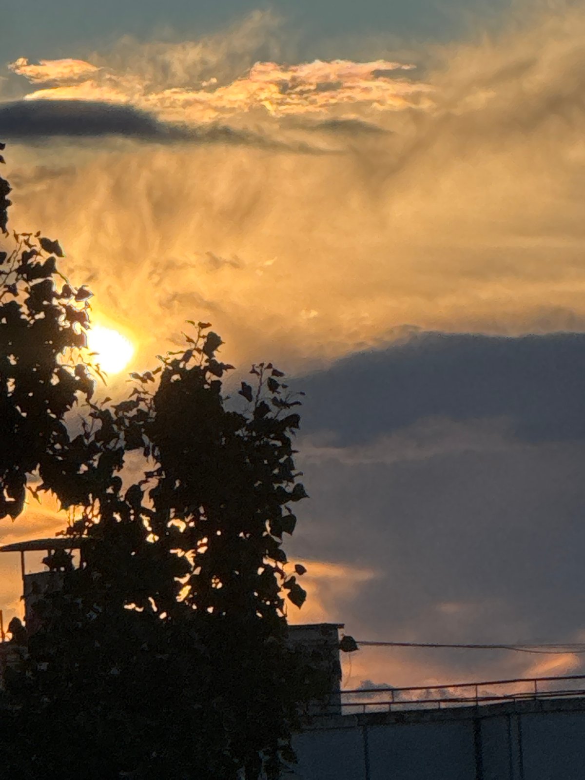 City skyline at golden hour, buildings and tree silhouettes