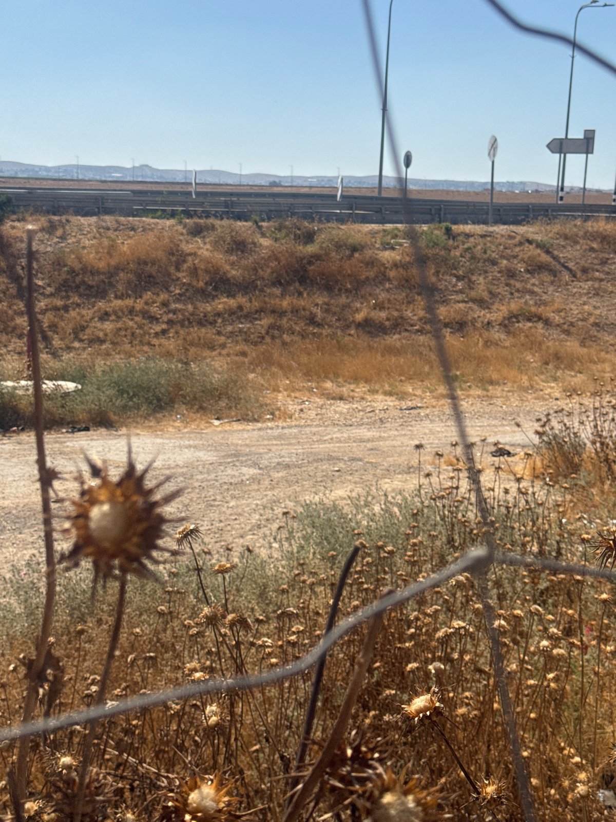 Arid landscapes, fences, and local scenes in Israel's Negev