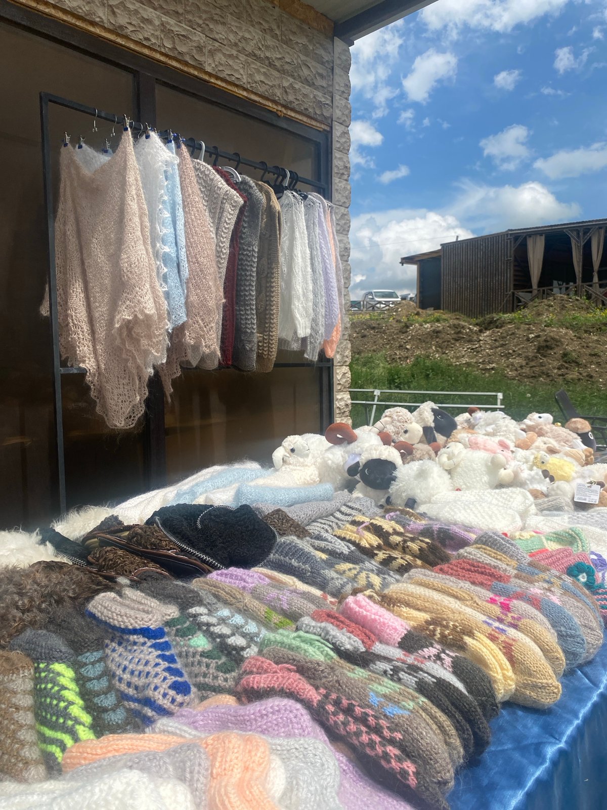 Mountain canyon views and handcraft market finds in Arani