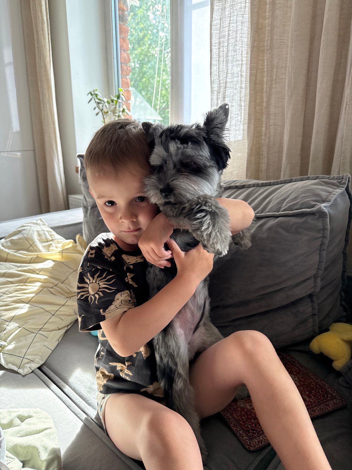 Lazy morning at home with a grey Schnauzer in Chaikovsky