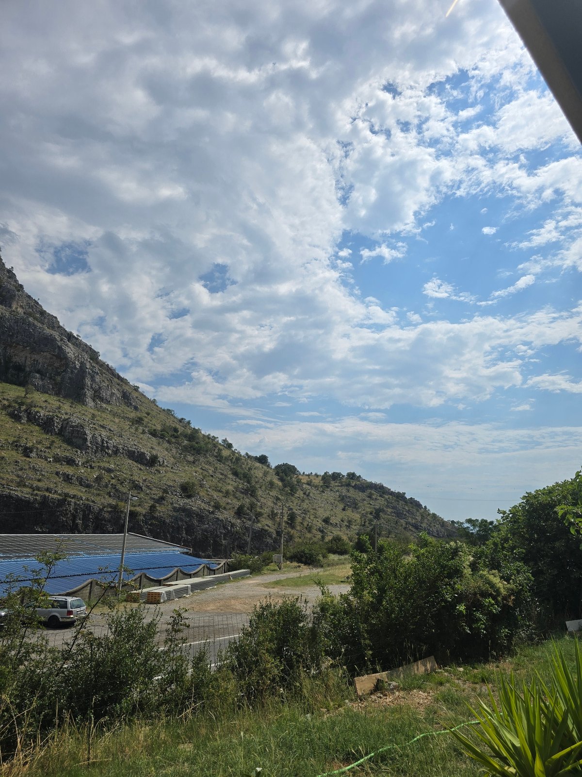 Mountainous landscape and garden plants near Podgorica