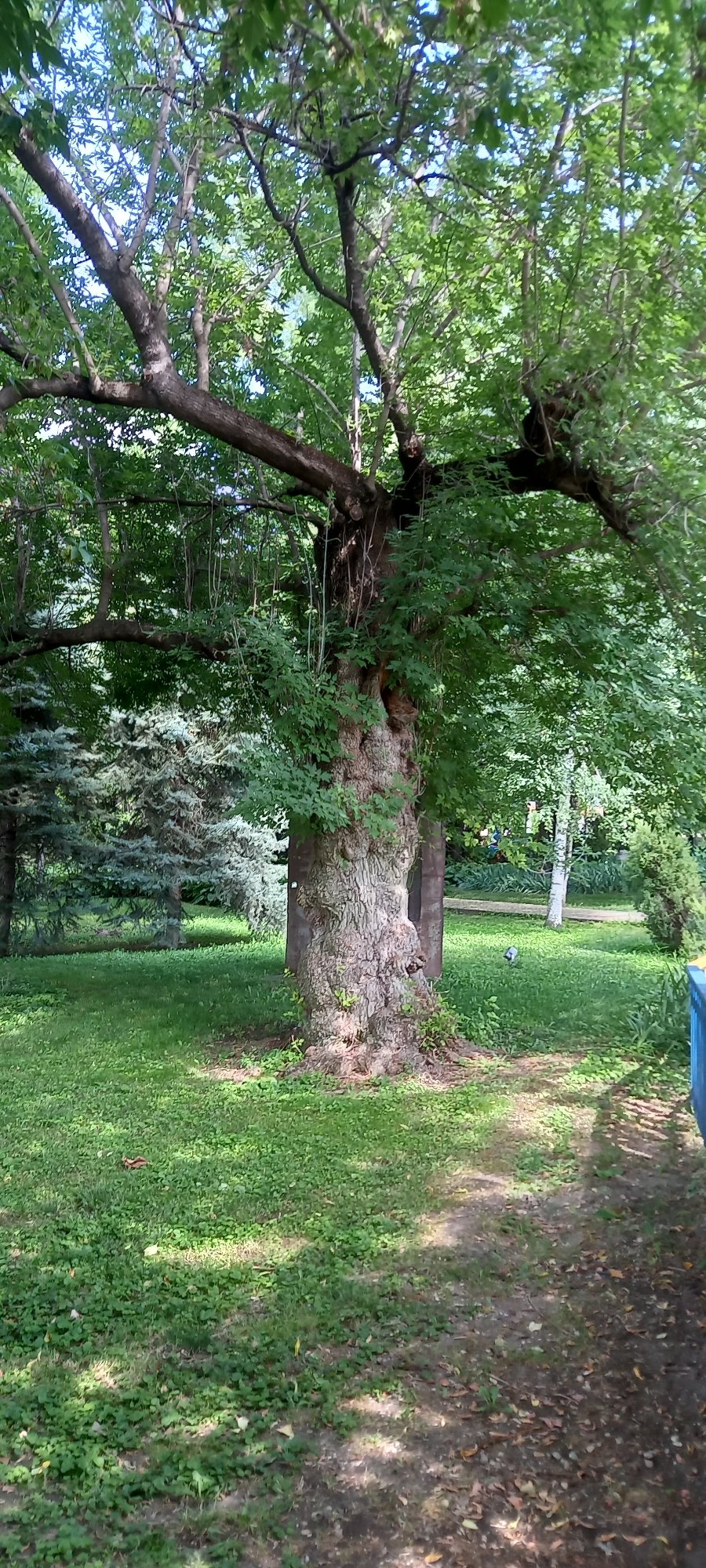 Silistra's riverside park mixes ancient ruins with everyday life
