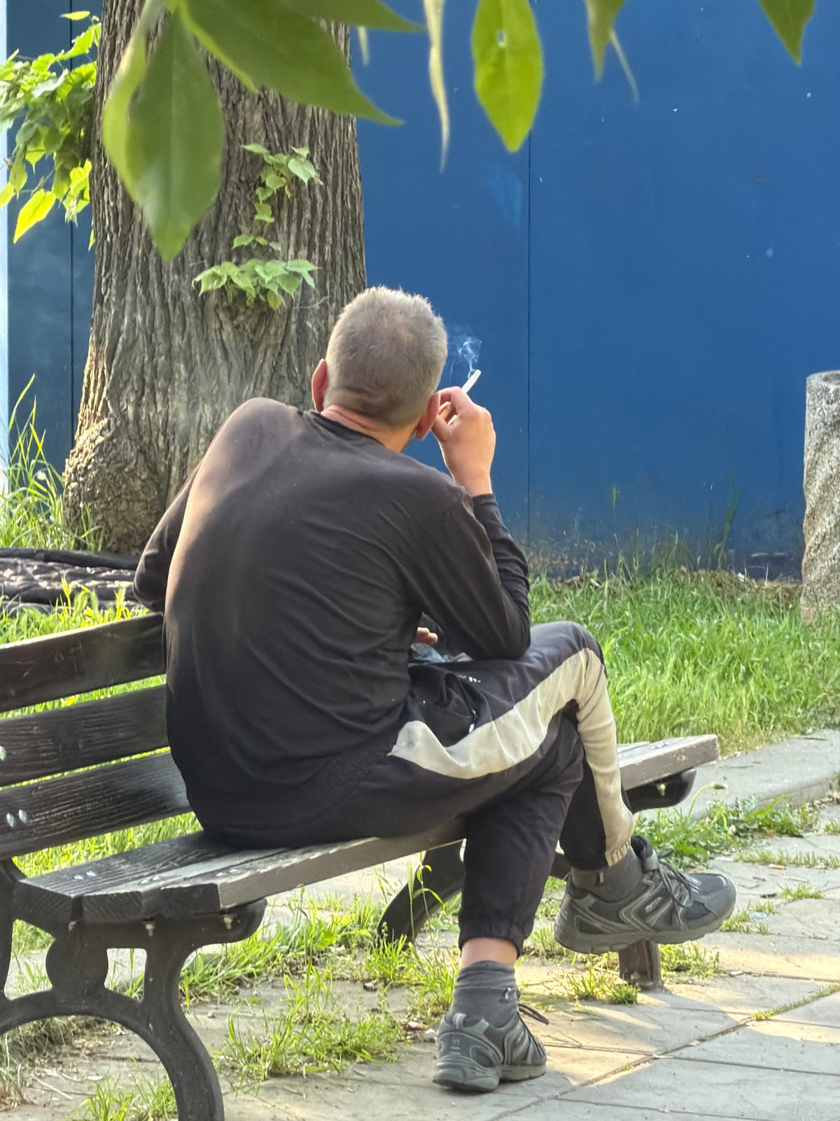 Ordinary afternoon moments documented across Sofia parks and cityscape