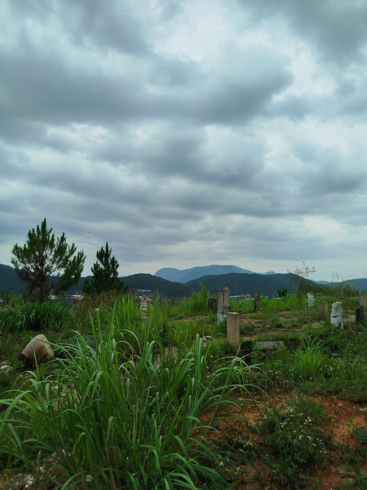 Architectural survey of Da Lat residential buildings documented in Vietnam