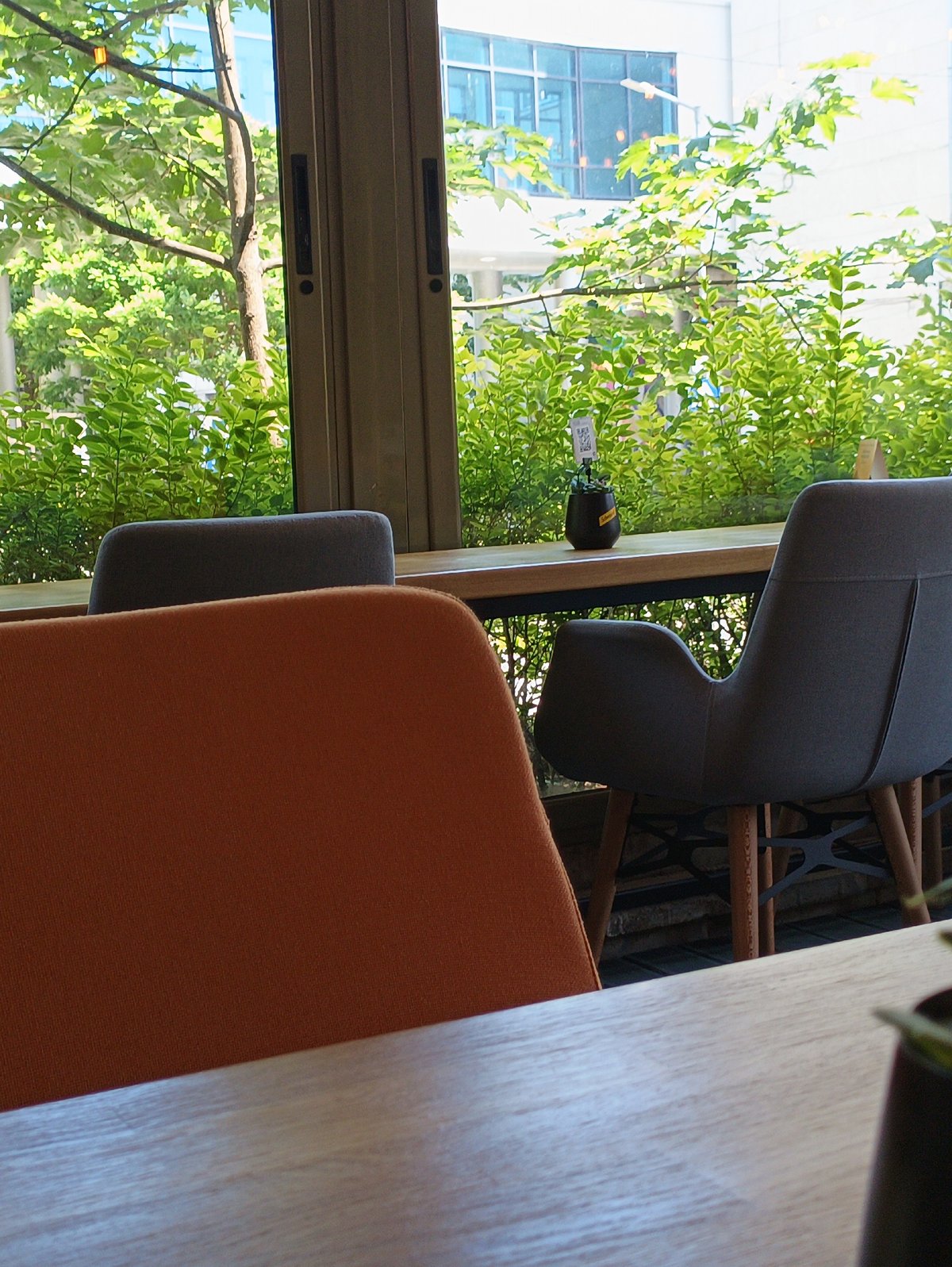 Café visit documented in Burgas, Bulgaria over 36 minutes