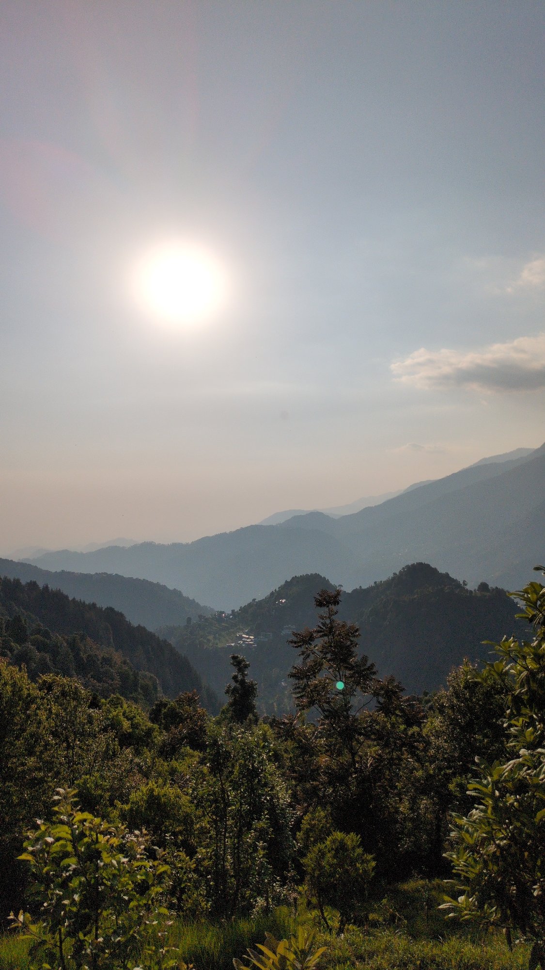 Mountain views and wildlife documented in Haini, India