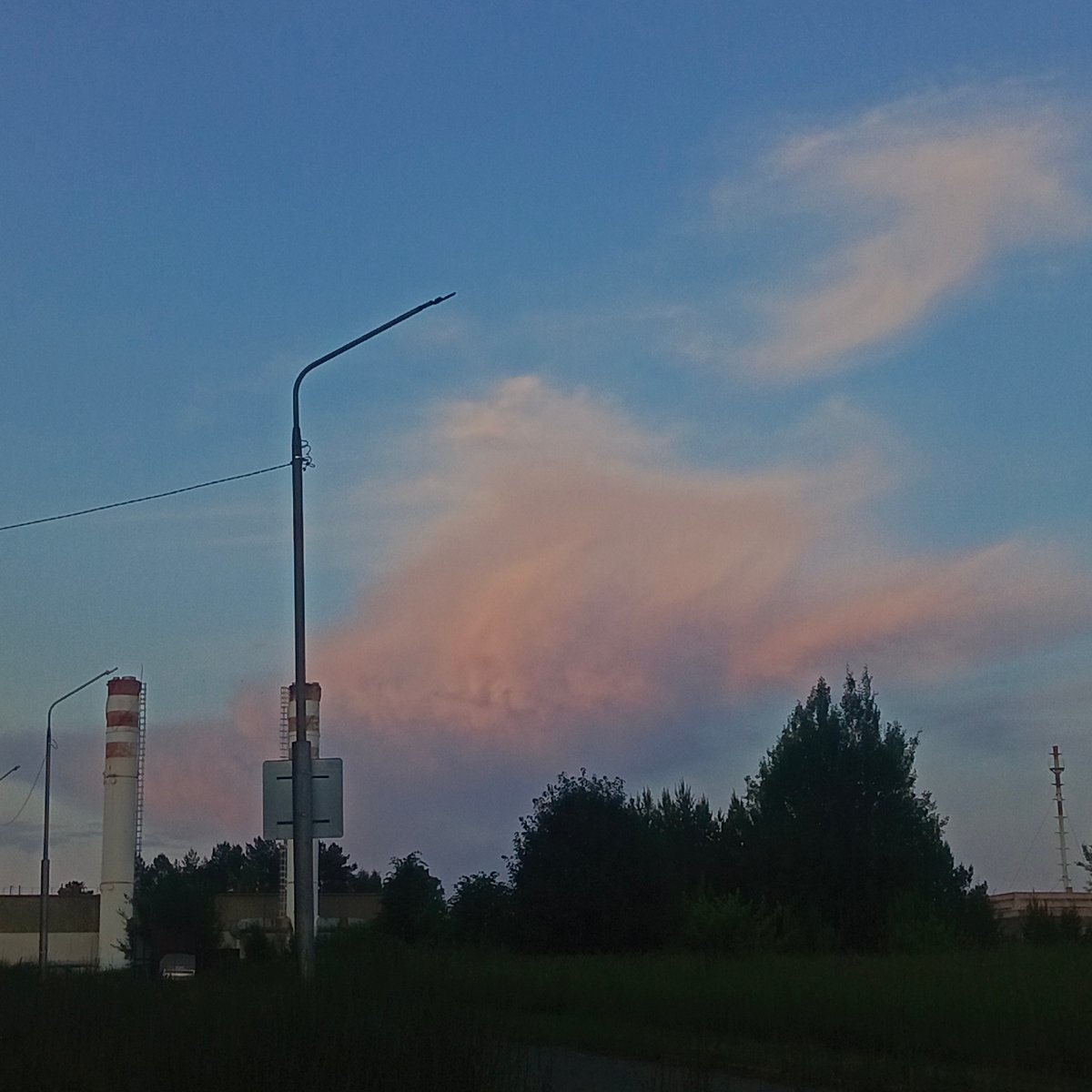 Sunset photography session with beagle in Markovskii residential area