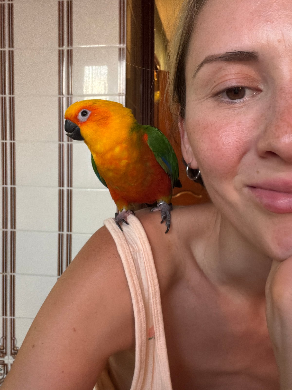 Evening domestic life documented in Khimki: pets, crafts, selfies