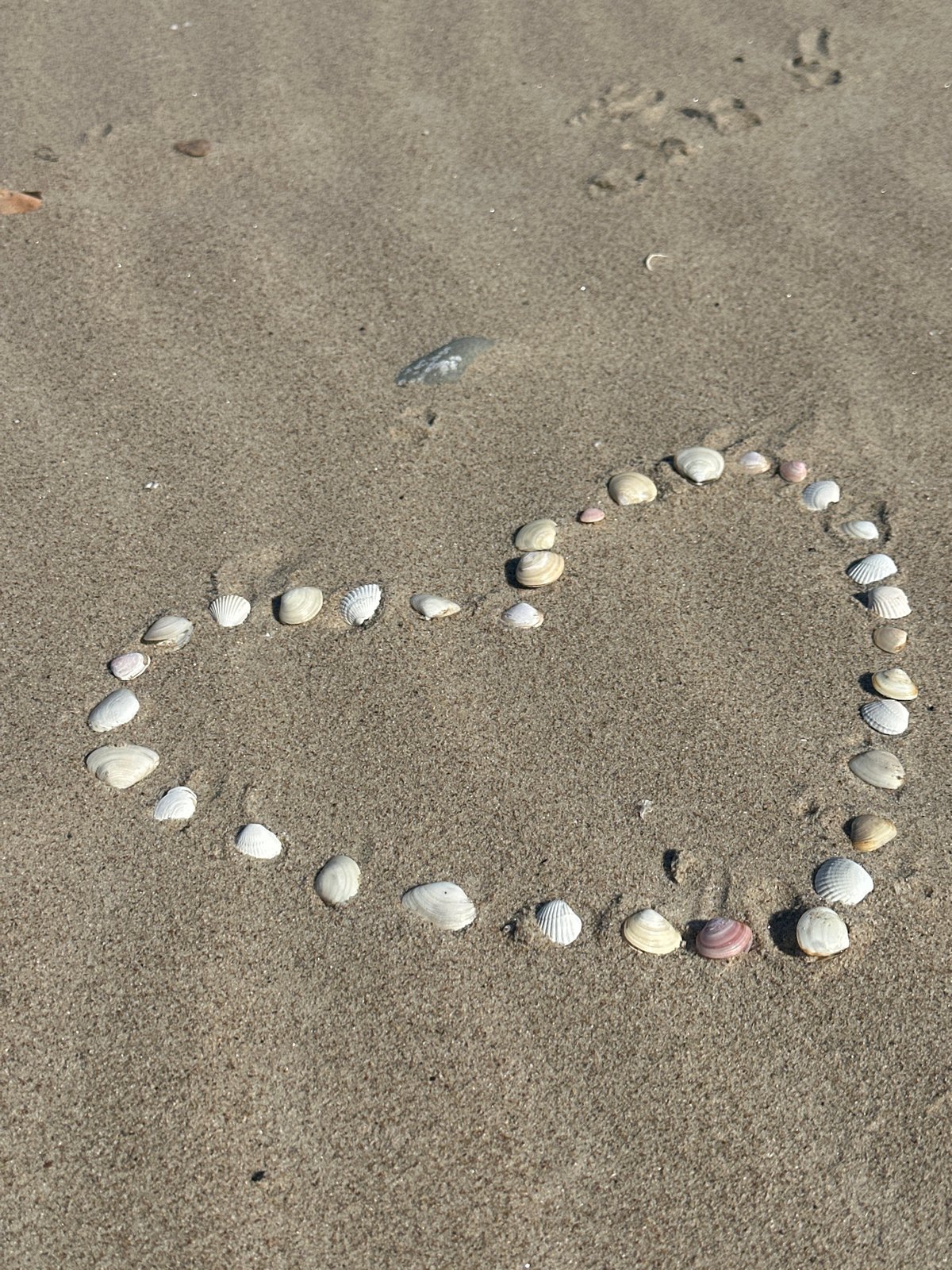 Casual beach scenes documented along Latvia's Baltic coast