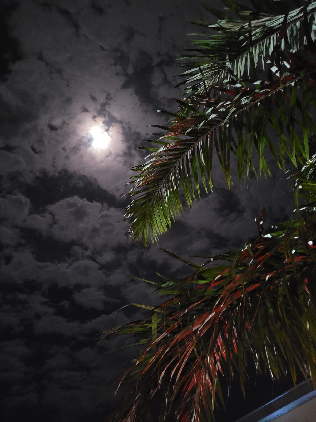 Nighttime scenes and street food captured in Akwanga, Nigeria