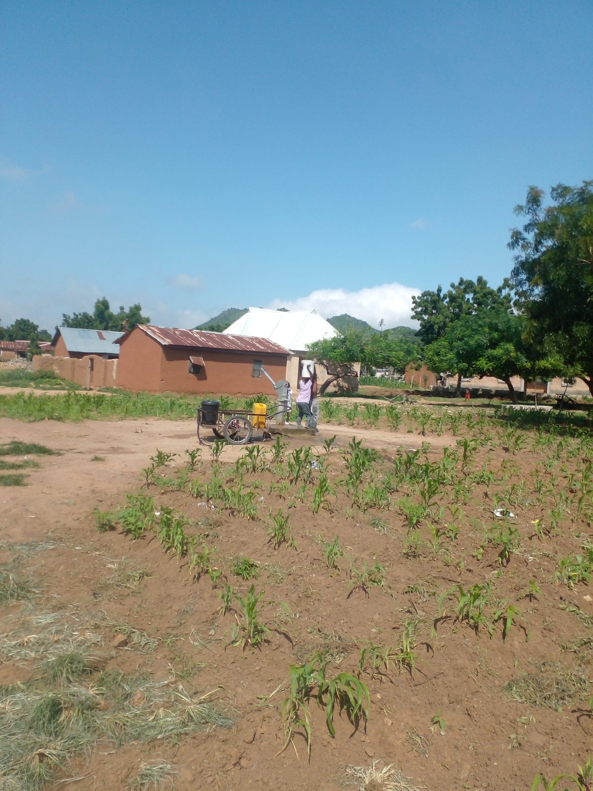Daily water hauling and yard life in Langtang, Nigeria