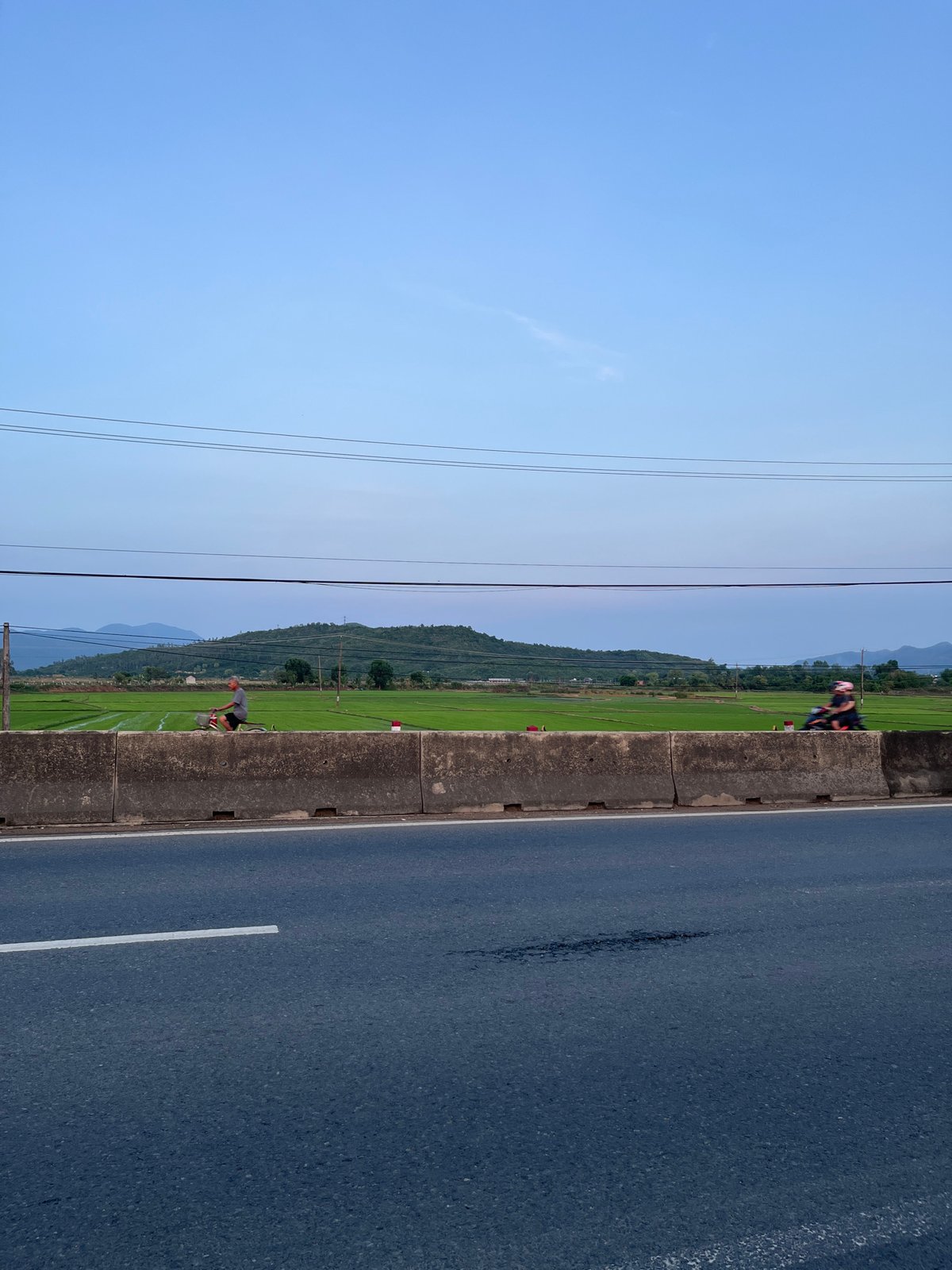 Rice paddies at sunset in Tân Định, Vietnam
