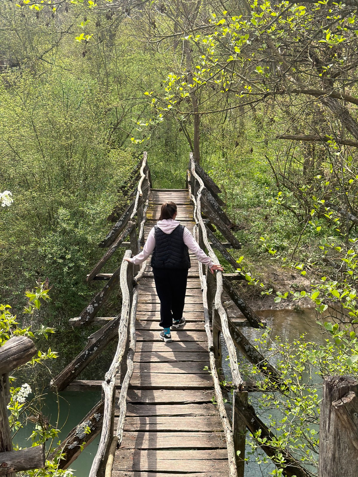 Morning scenes documented along wooded waterway near Lukovit, Bulgaria