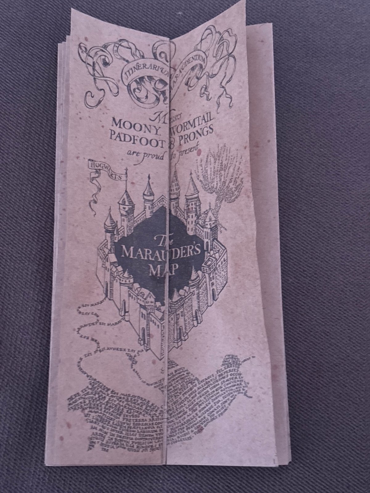 Perm resident documents Harry Potter items, meal, street scenes