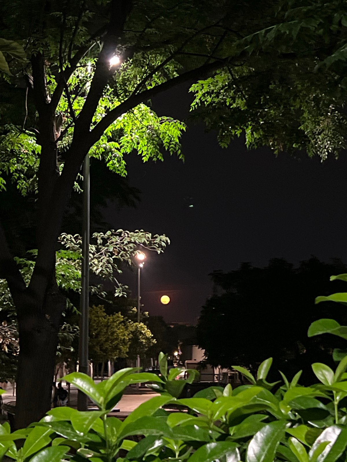 Evening skate session at a Madrid park under a rising moon