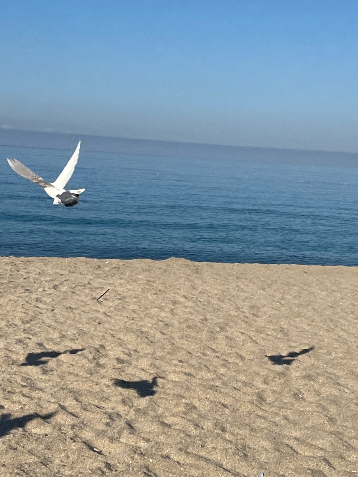 Morning beach scenes captured along Alanya Turkey coastline