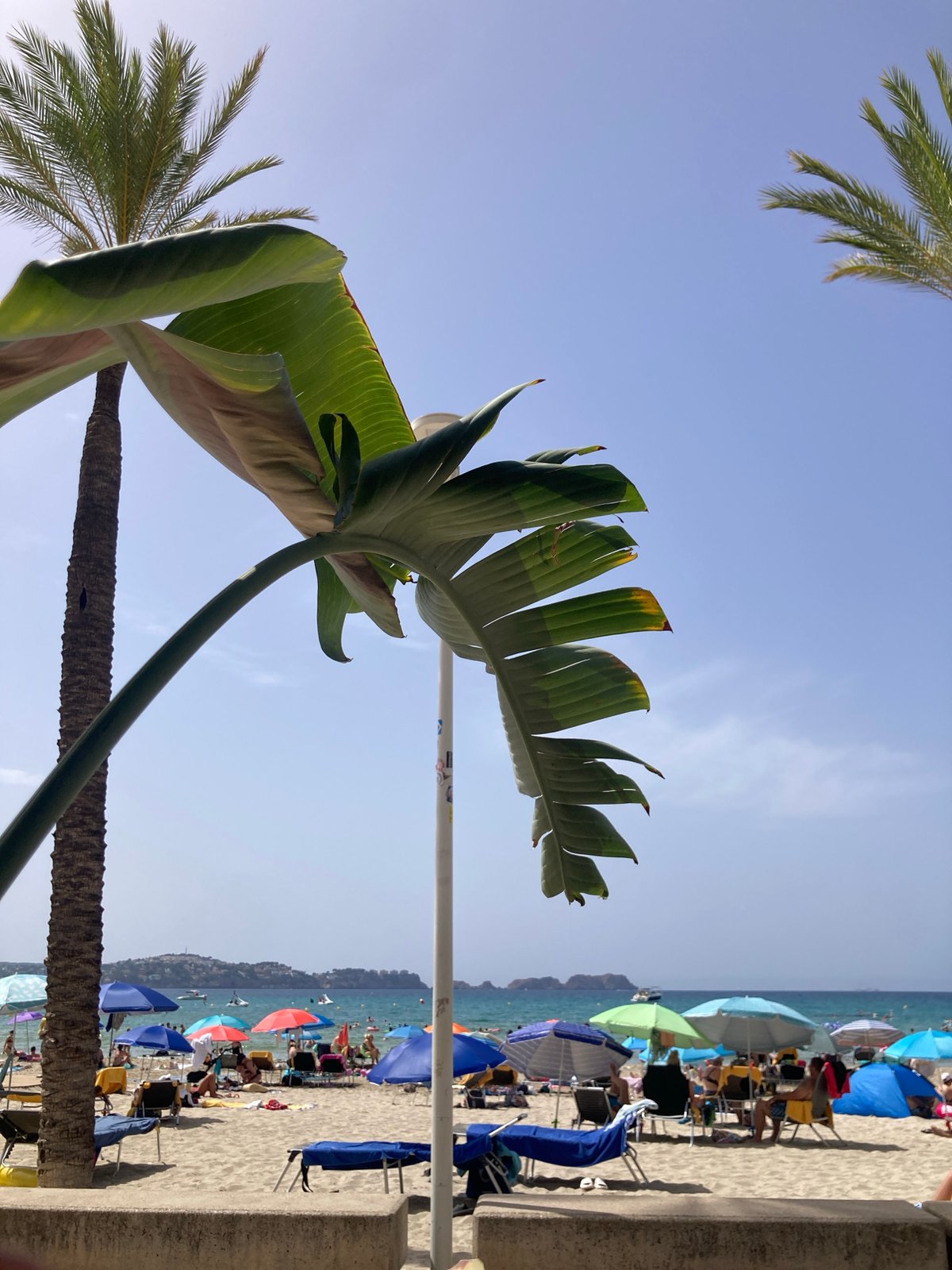 Peguera beach crowd framed through a seaside venue's decor