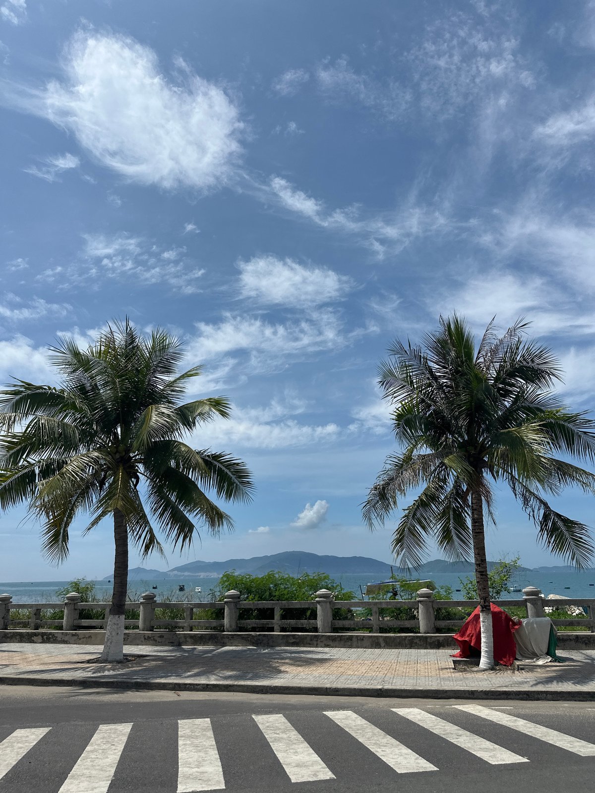 Coastal promenade with palm trees documented in Nha Trang