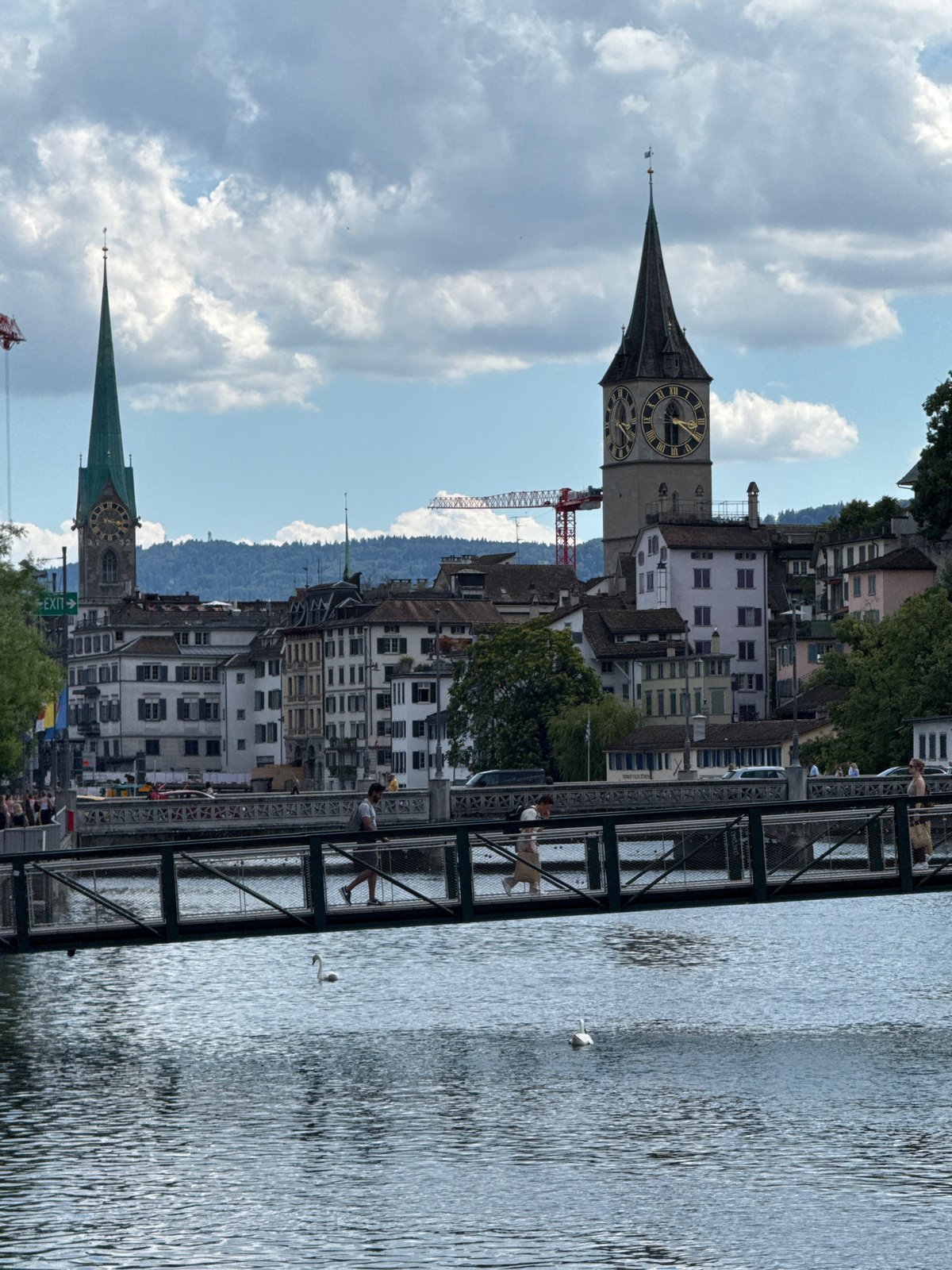 Afternoon on the Limmat: swans, spires, and river-life in Zurich