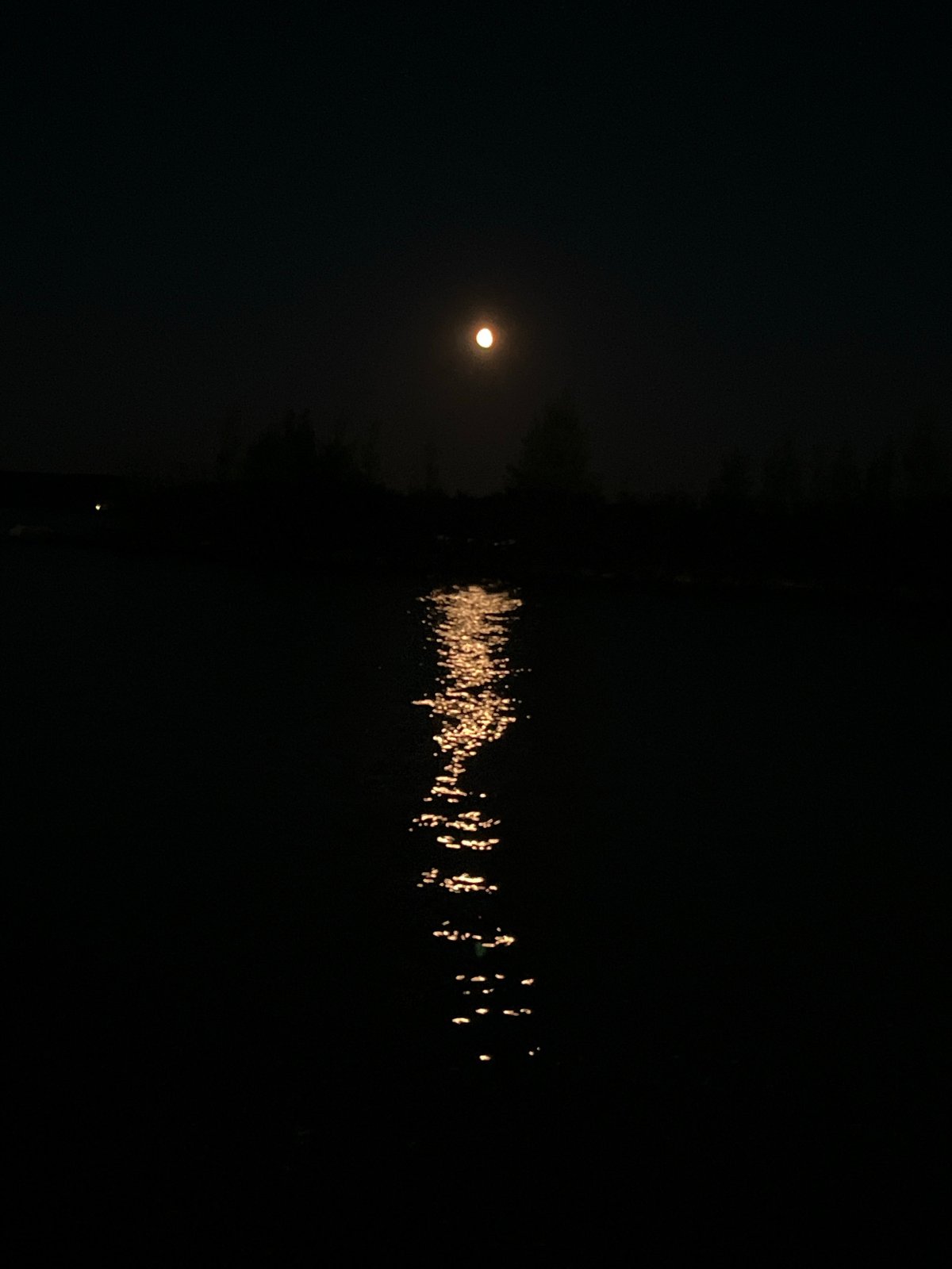 Moonlit evening on the Kama River, Chaikovsky