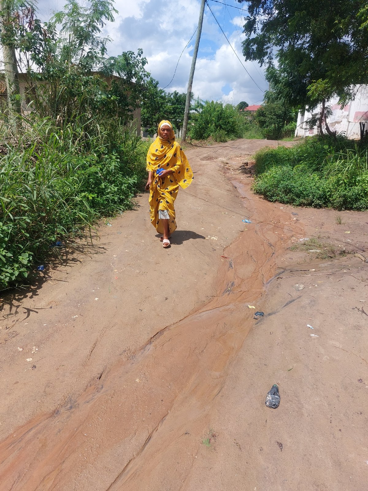 Road construction work documented in Dar es-Salaam residential areas