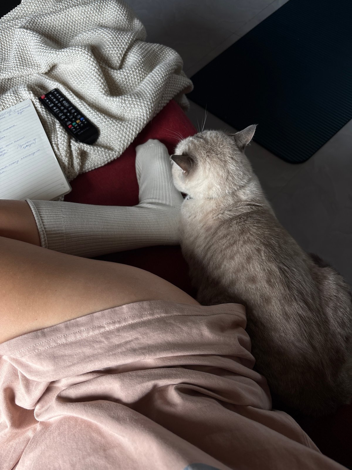 Person relaxes with blue-eyed cat in Thai hillside home