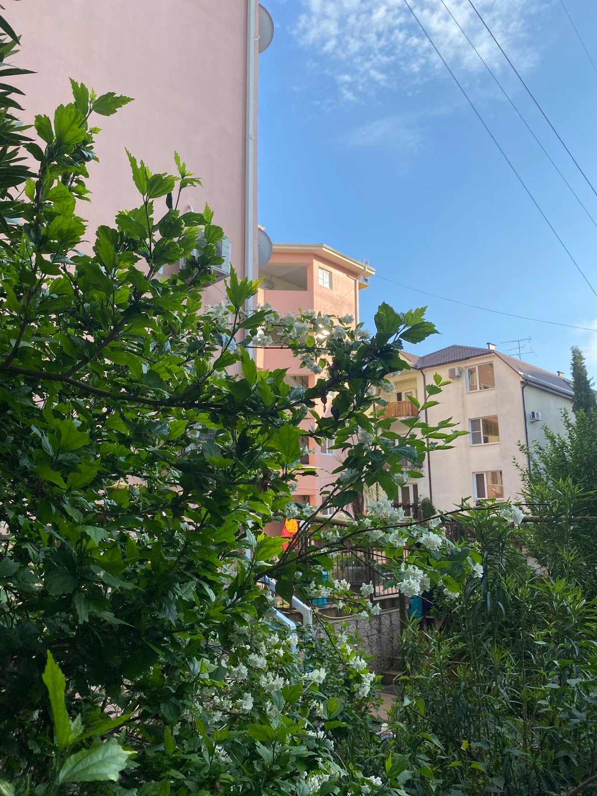 Casual afternoon moments documented in residential Sochi neighborhood