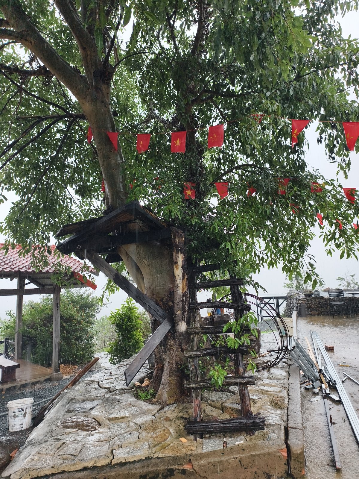 Rainstorm transforms outdoor pool area with treehouse into misty scene