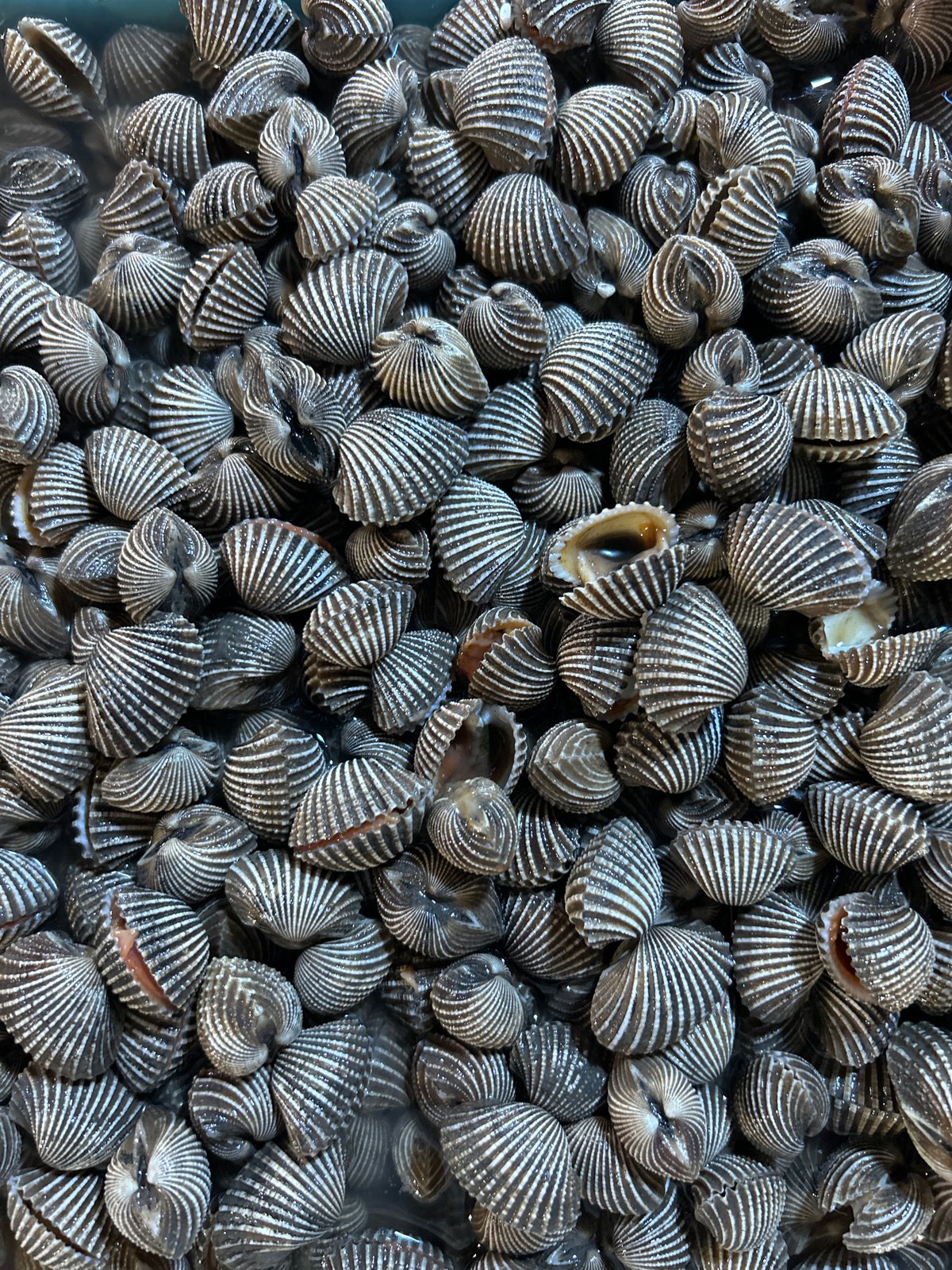 Inside a busy Kuta seafood market, live and fresh catch on display