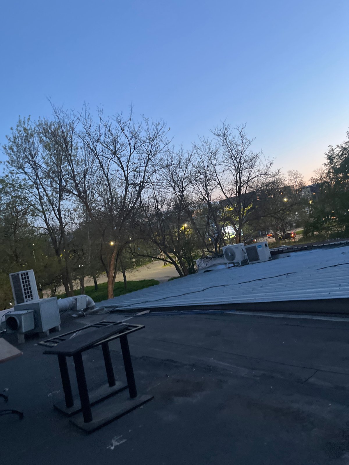 Rooftop observer captures dusk scene with bare trees, distant lights
