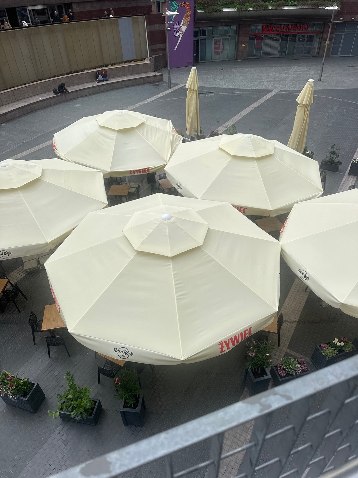 Walking tour of central Warsaw landmarks and local spots