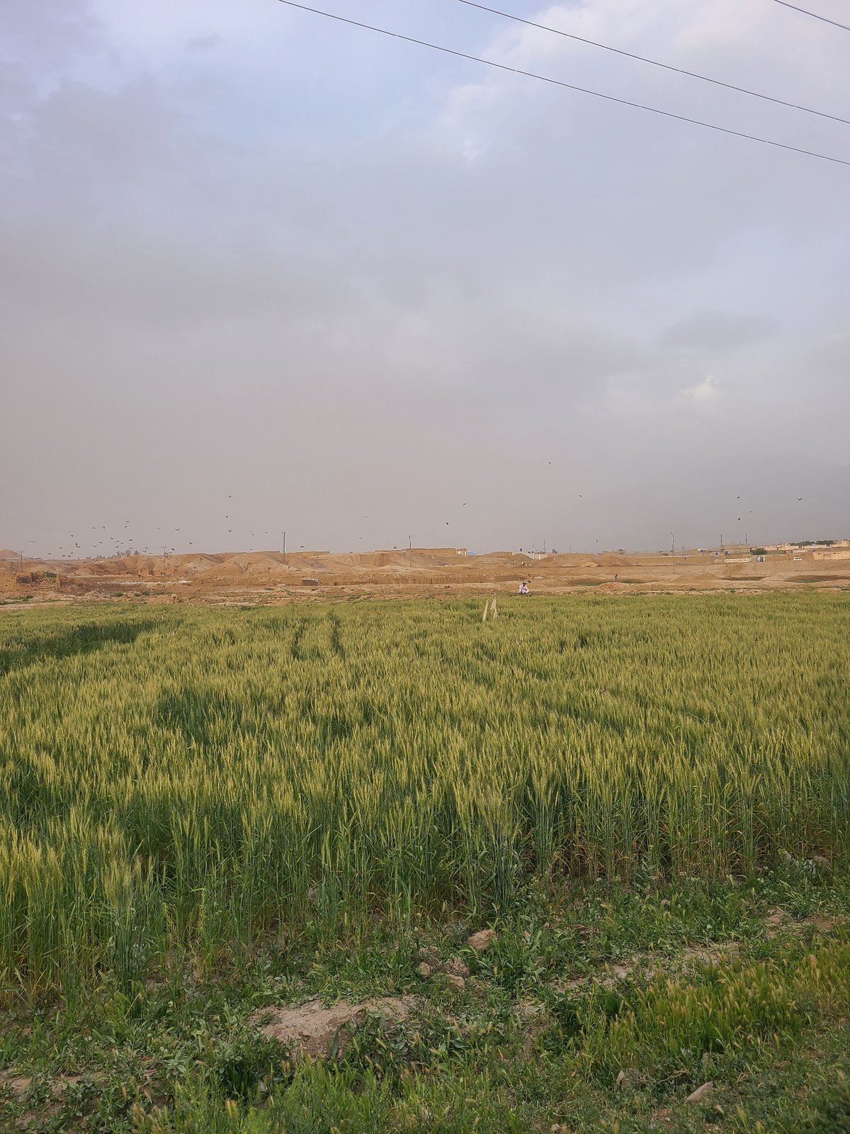 Rural Pakistan landscape documented in brief photographic sequence