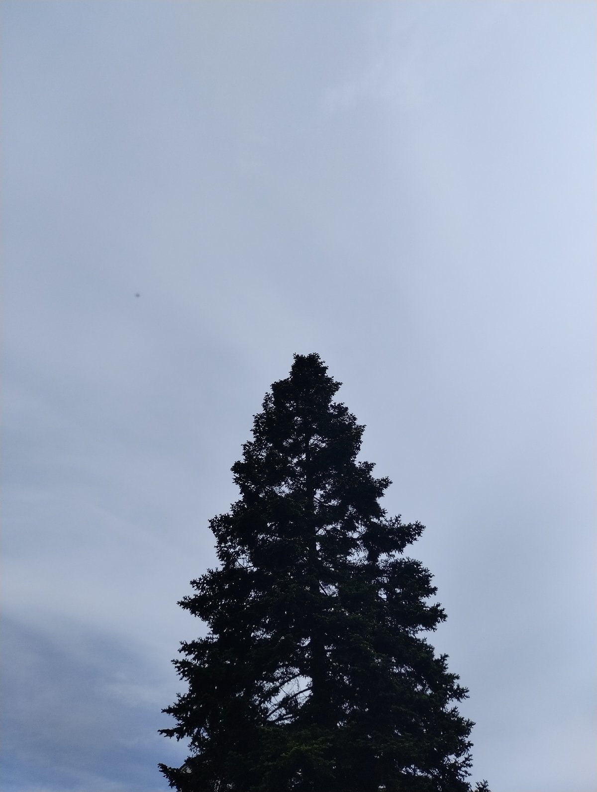 Afternoon walk documented through Yambol's parks and recreation areas