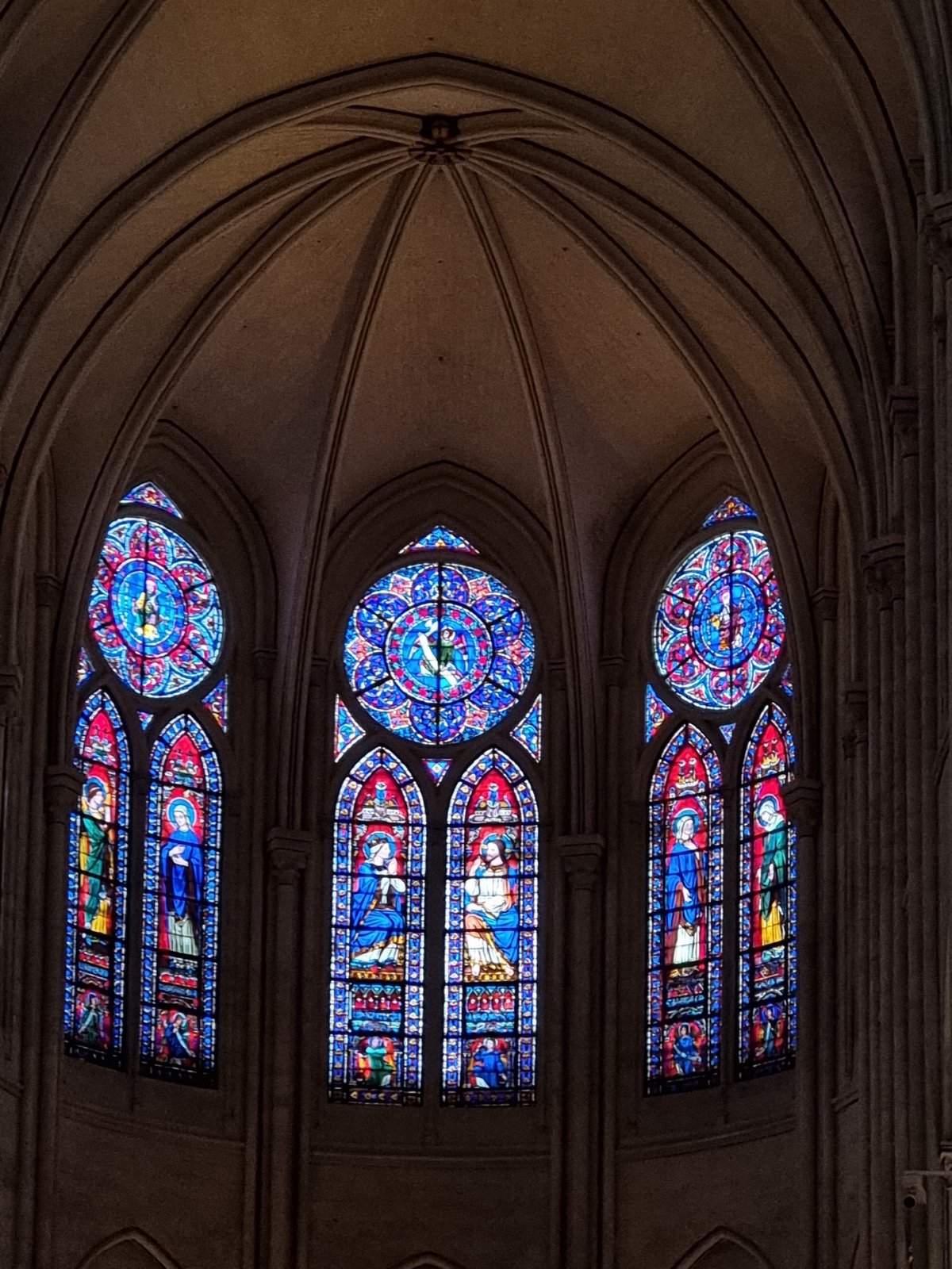 Visitor captures Notre Dame's restored Gothic architecture from below