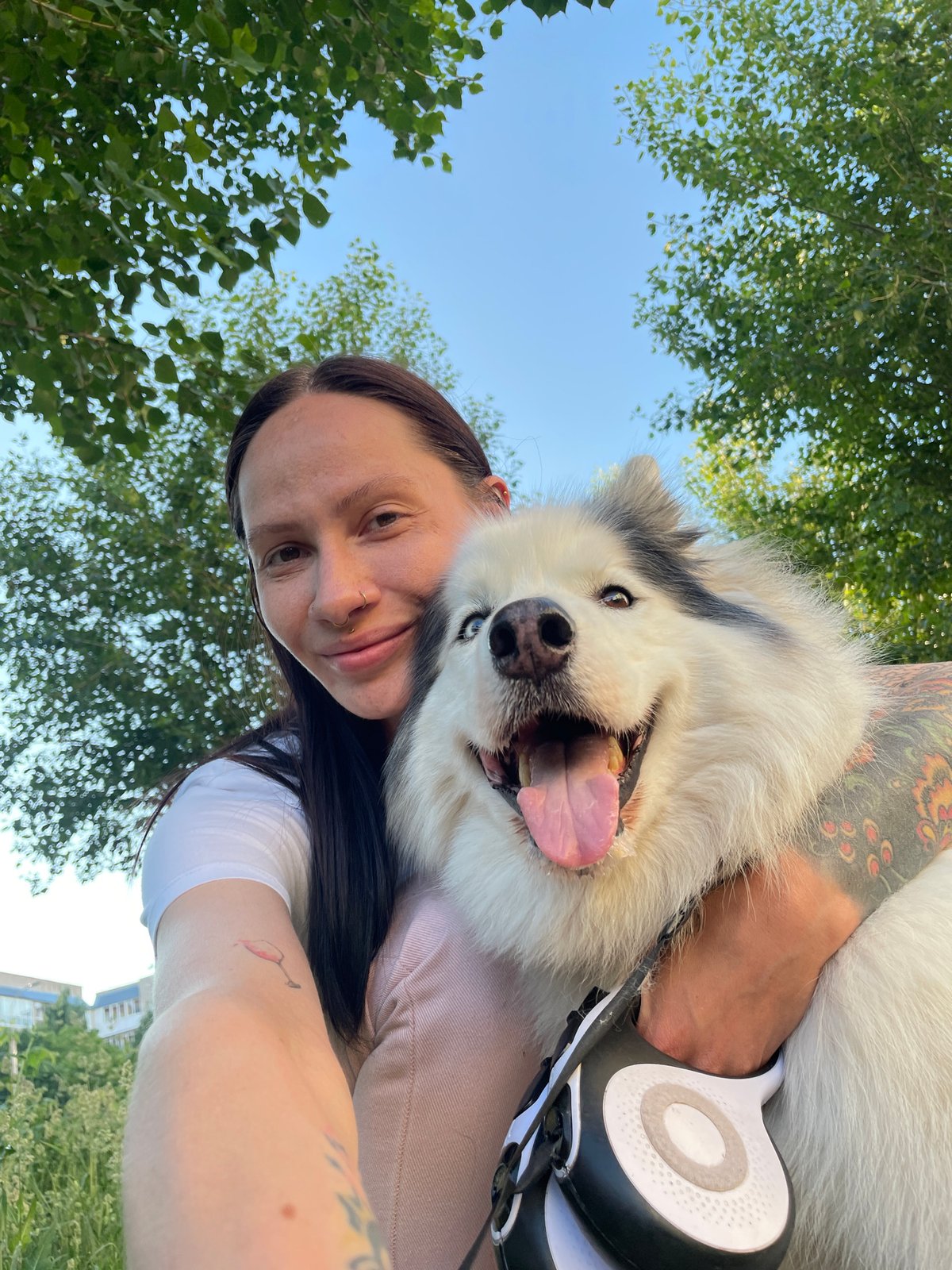 Woman takes selfies with Siberian Huskies in Russian cities