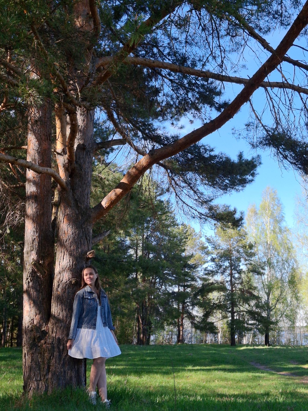 Woman rests peacefully on fallen tree in Chaikovsky park