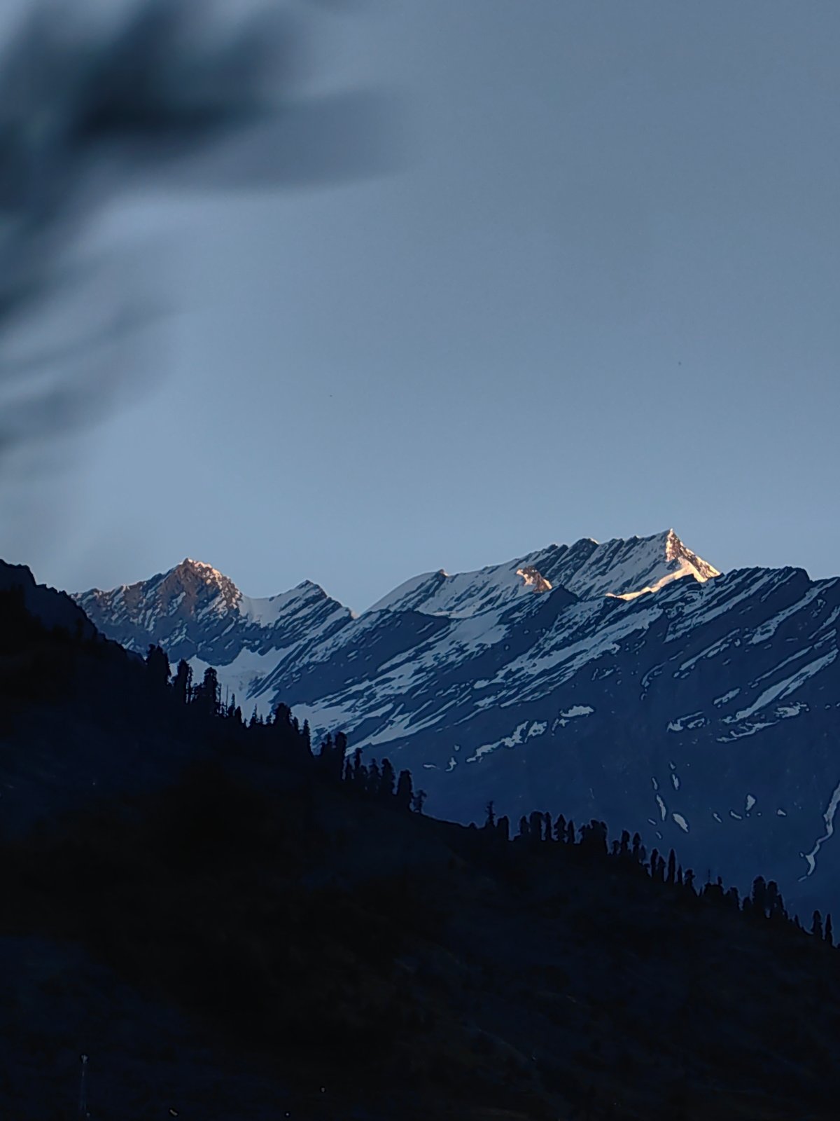 Himalayan twilight scenes around Vashisht, birds and peaks