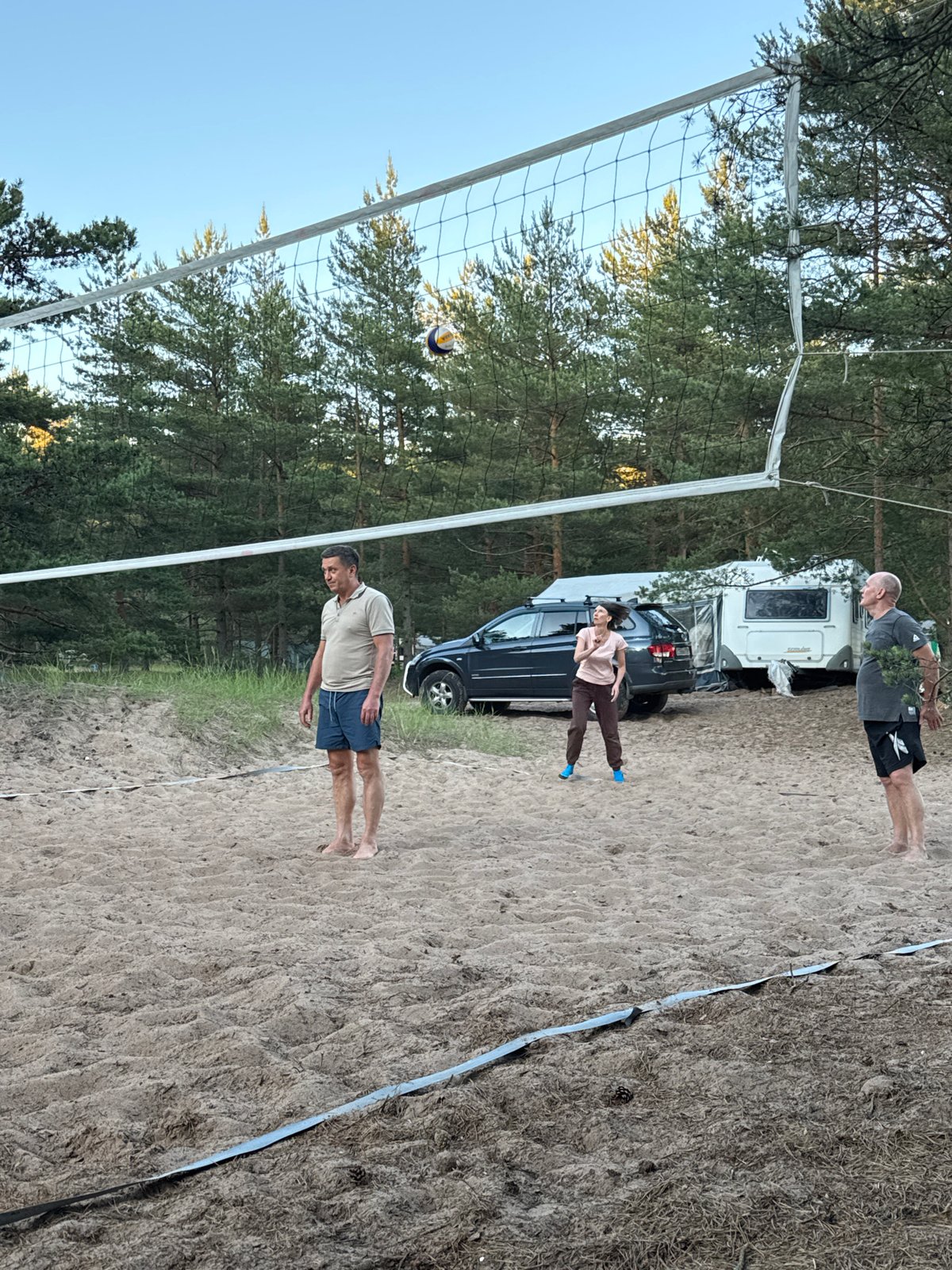 Campsite volleyball and wildflowers in a Russian pine forest