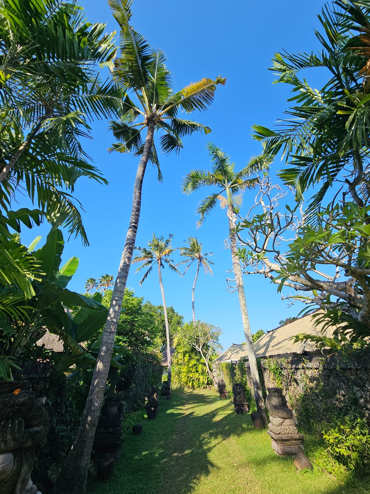 Strolling a lush Balinese temple garden in Denpasar