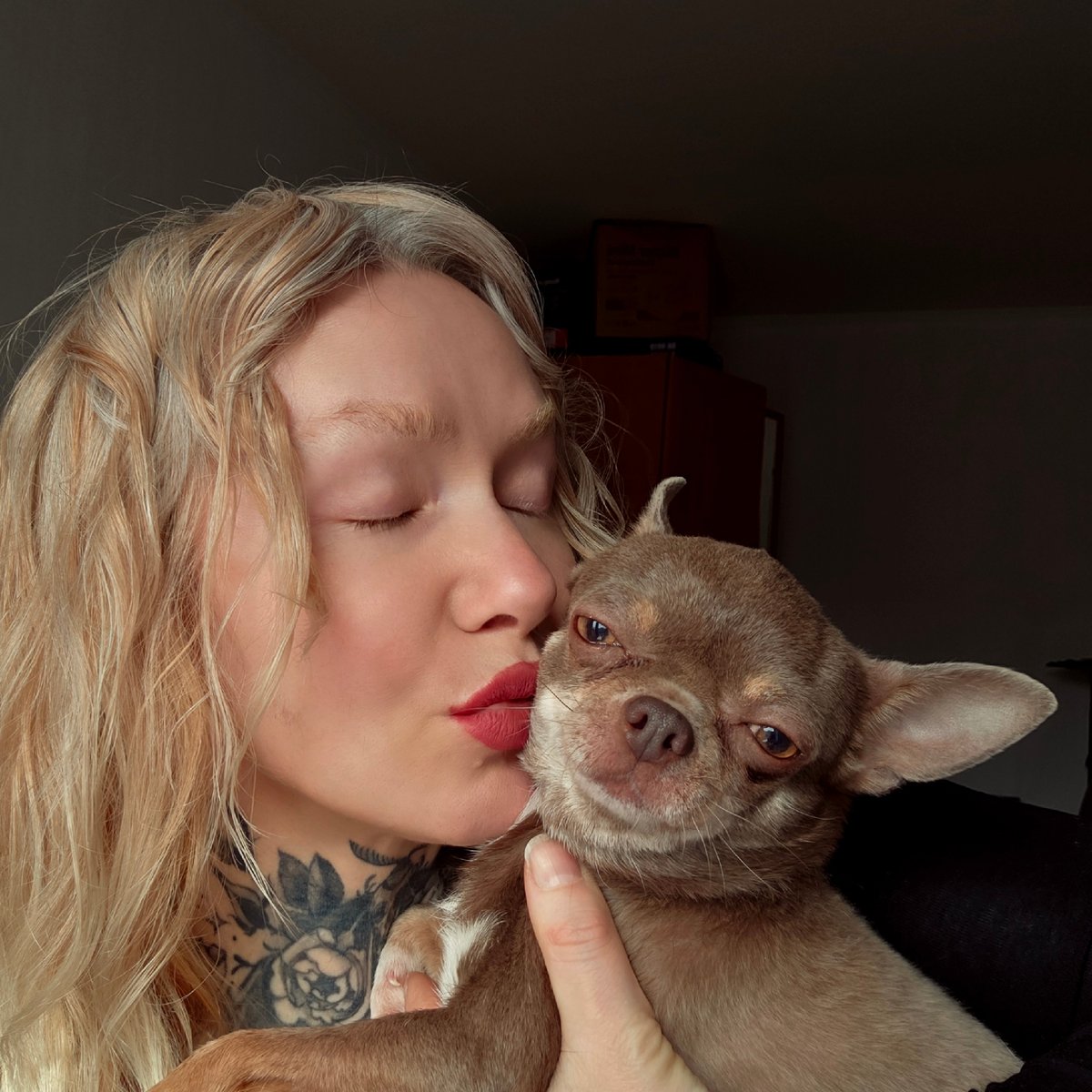 Woman shares tender moment with Chihuahua in Saint Petersburg