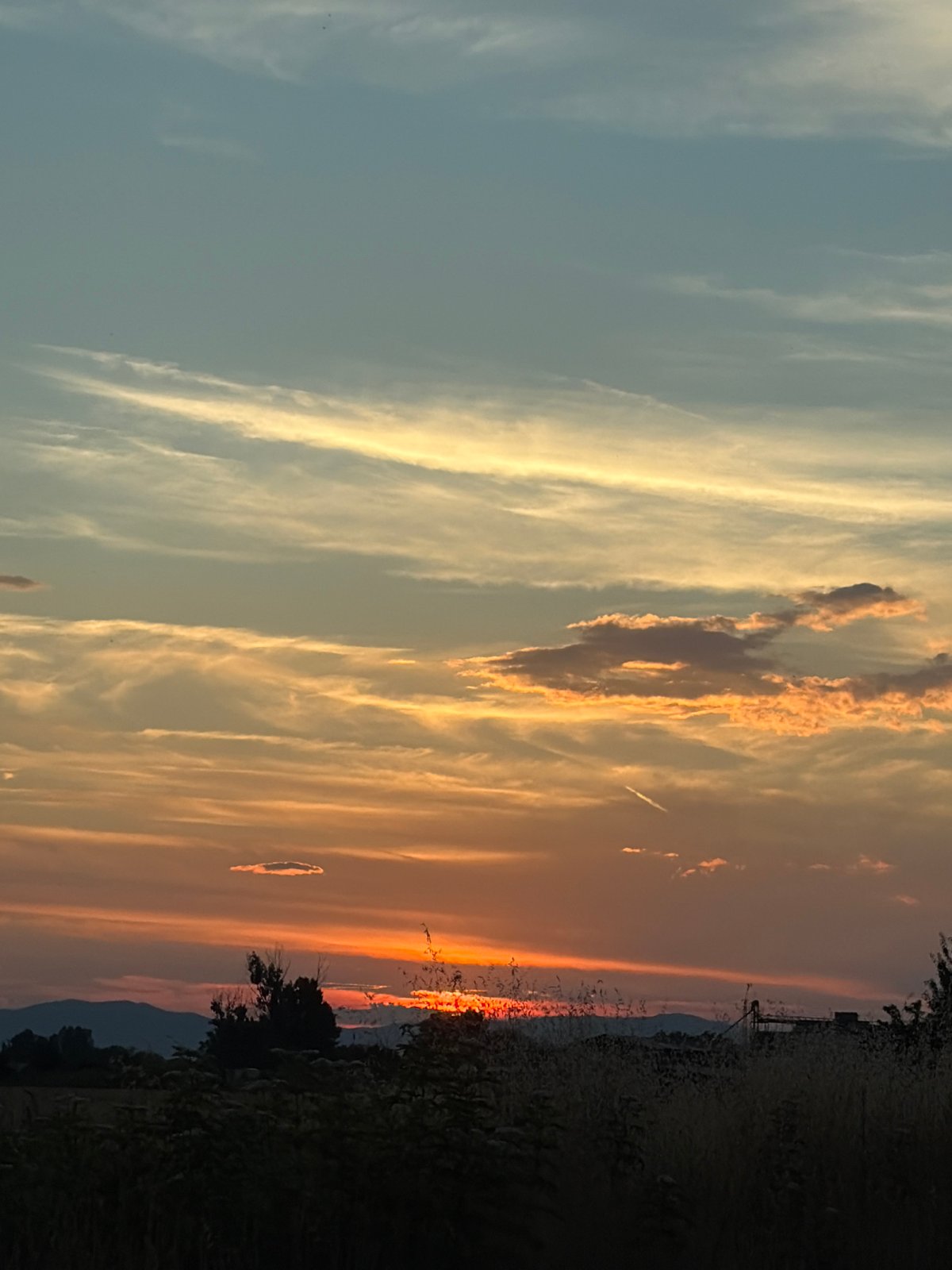 Cats, clouds, and a long golden-hour drive