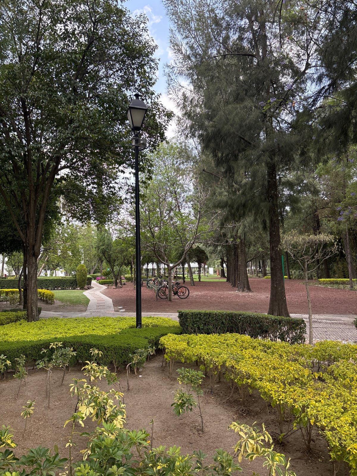 Architecture student presents final project at Mexican university