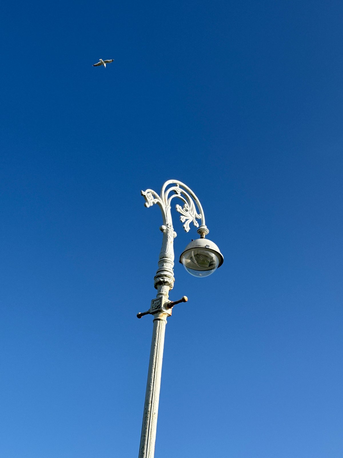Sunny afternoon coastal views documented in Folkestone, Kent