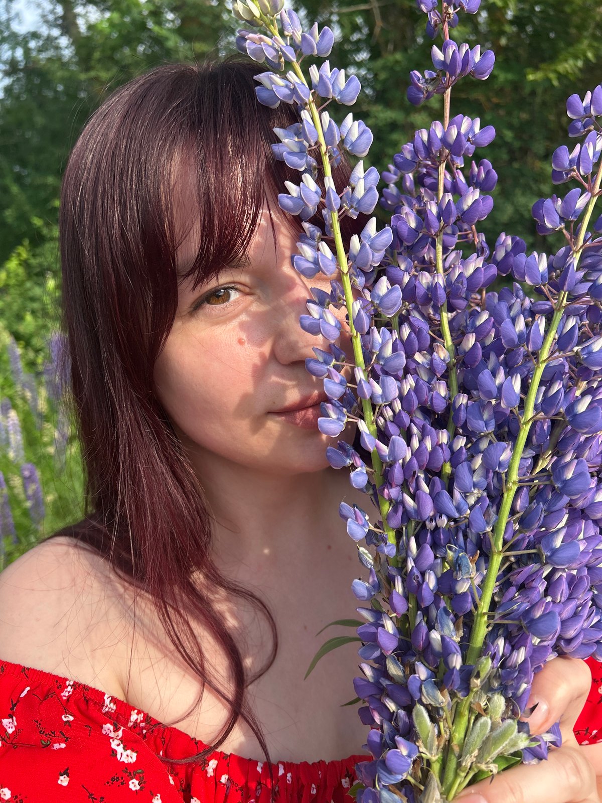 Woman photographs with lupine flowers in Russian field