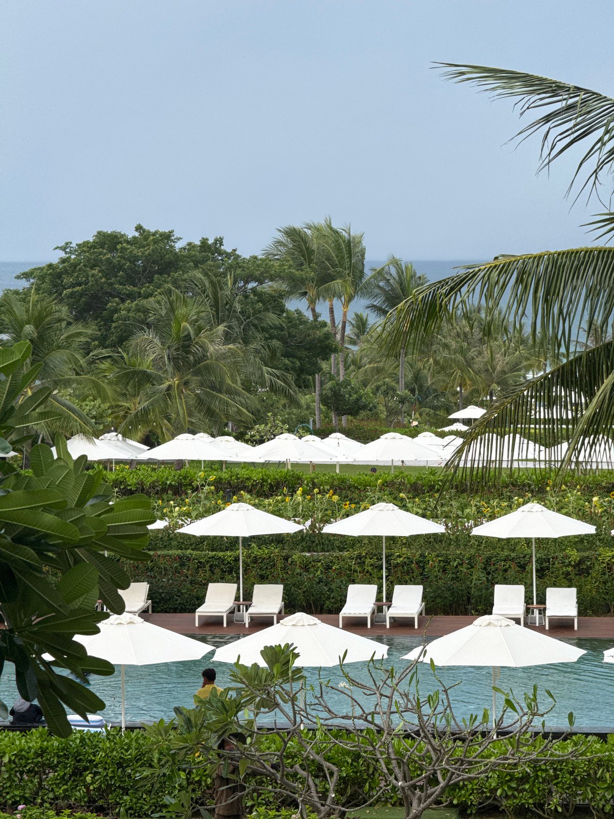 Resort gardens and groundskeeping, Cam Đức morning